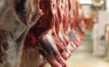 ورود گوشت ارزان قیمت به بازار