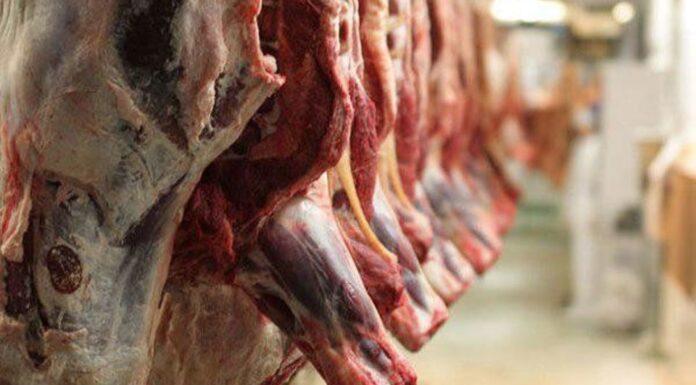 آغاز ثبت سفارش واردات گوشت از فردا