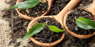 نرخ واردات چای ۵ برابر صادرات