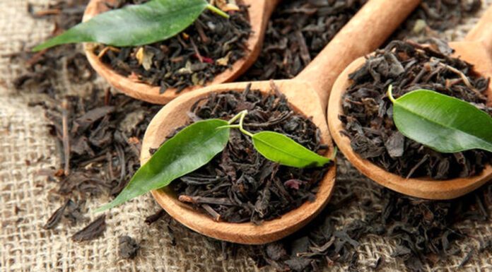 بازگشت واردات چای از ۱۷ آبان