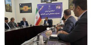 رونق صنعتی و کشاورزی استان کرمان مرهون حمایت شرکت مس است