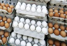 بازار تخممرغ در وضعیت اضطراری