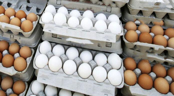 بازار تخممرغ در وضعیت اضطراری