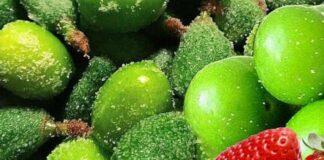 جدیدترین قیمت میوههای نوبرانه در بازار