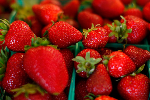 میوه، توت فرنگی