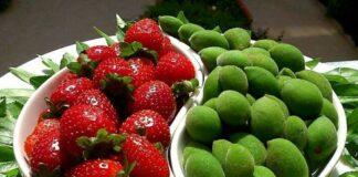 قیمت میوههای نوبرانه از اردیبهشت متعادل میشود