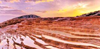 نیم درصد از ذخایر مس ما استخراج میشود