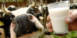 افزایش ۲۰ درصدی قیمت شیر ابلاغ شد