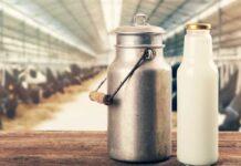 افزایش ۶۰درصدی هزینههای تولید شیر