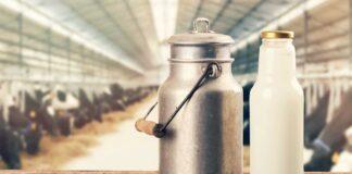 وضعیت قیمت مصوبه شیر در سال ۱۴۰۴