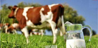 قیمت مصوب شیرخام ۲ هزار تومان افزایش یافت