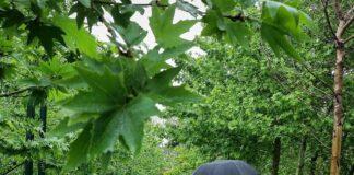 هشدار فعالیت سامانه بارشی در ۱۱ استان