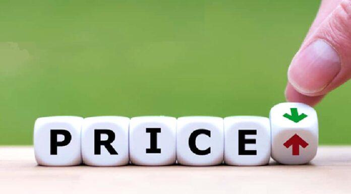 قیمتگذاری خودرو در اتاق شیشهای انجام شود