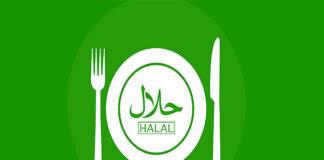 تصمیمات آنی؛ مانع پیشروی صنعت حلال