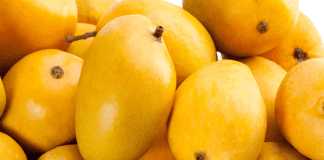 صدر نشینی انبه در بازار میوه