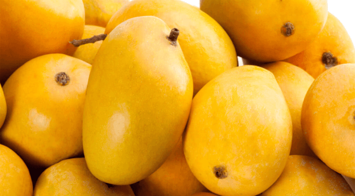 واردات انبه از کنیا مجاز شد