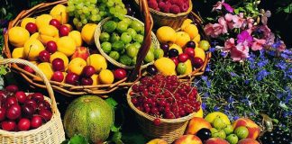 رشد۲۰درصدی تولید میوههای تابستانه