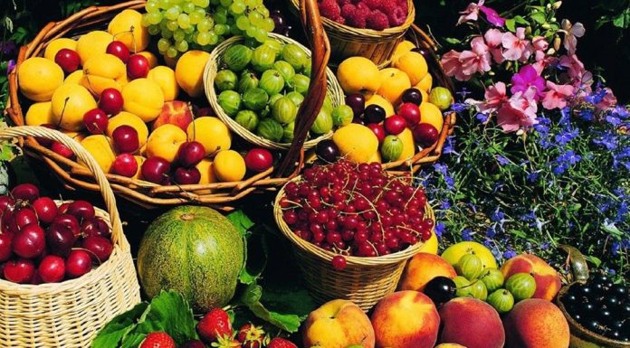 تورم میوه به ۹۲ درصد رسید