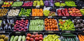 رشد ۱۹درصدی صادرات محصولات کشاورزی و غذایی