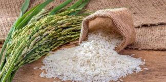 قیمت انواع برنج اعلام شد