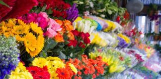 فروش گل در فضای مجازی غیرقانونی است