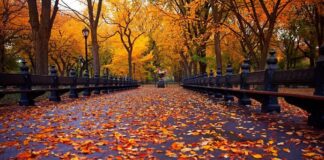 باران و برف کشور را فرا میگیرد