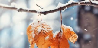 ورود سامانه بارش برف به کشور