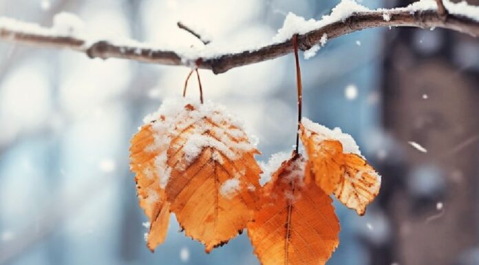 فعالیت سامانه بارشی در ۲۴ استان