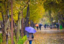 رگبار باران و کاهش نسبی دما در نوار شمالی کشور