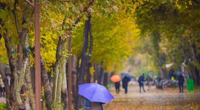 رگبار باران و کاهش نسبی دما در نوار شمالی کشور