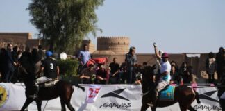 آیین ملی چوگان ایران در ارگ جدید بم برگزار شد