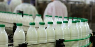 محکومیت ۲ شرکت لبنیاتی به دلیل گران فروشی