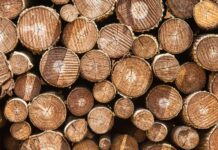 ضرورت خودکفایی درصنعت چوب و کاغذ