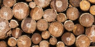 واردات چوب به کشور چه موانعی دارد؟