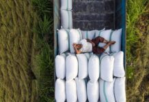 چرا برنج ارزان نشد؟