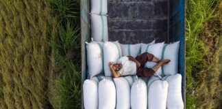 اختلال در روند واردات عامل افزایش قیمت برنج