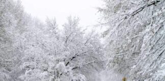 برف و باران ایران را فرا میگیرد