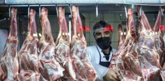 گوشت رکورددار گرانی در دی ماه/تورم بادمجان ۳۹ درصد شد