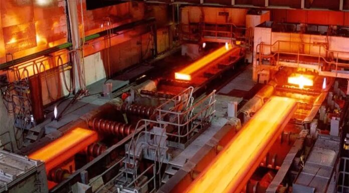 کارت بازرگانی اجارهای معضل تولید است