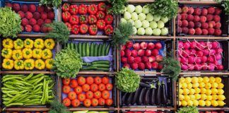 میزان صادرات محصولات غذایی ایران در سال ۱۴۰۲