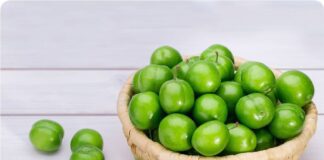 علت گرانی میوههای نوبرانه