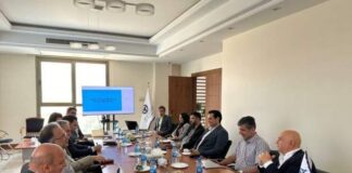 تمرین تولید خودروهای برقی با قراردادهای دولتی آغاز می شود