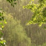 رگبار باران در استانهای شمالی