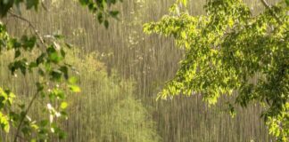 هشدار نارنجی هواشناسی برای ۶ استان