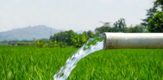 کاهش تولید در بخش کشاورزی با قطعی برق