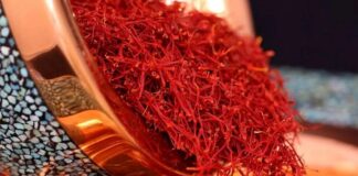 صادرات زعفران بیش از ۳۰ درصد افزایش یافت