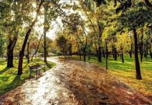 کاهش دما در سواحل خزر