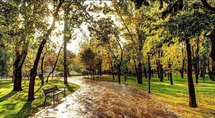کاهش دما در سواحل خزر