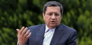 وزیر اقتصاد: بنزین لیتری ۳۰ هزار تومان را سه هزار تومان نمی فروشیم