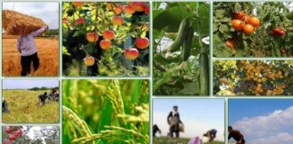 قیمت ۳۲ کالای مشمول قیمتگذاری مشخص شد